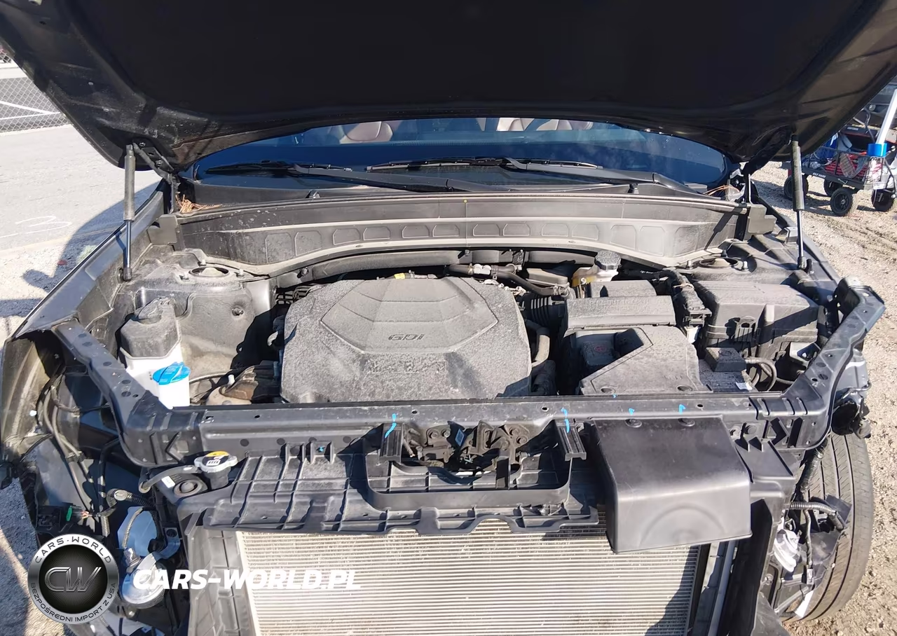 2023 Kia Telluride Ex VIN:5XYP3DGC6PG354221 - 10