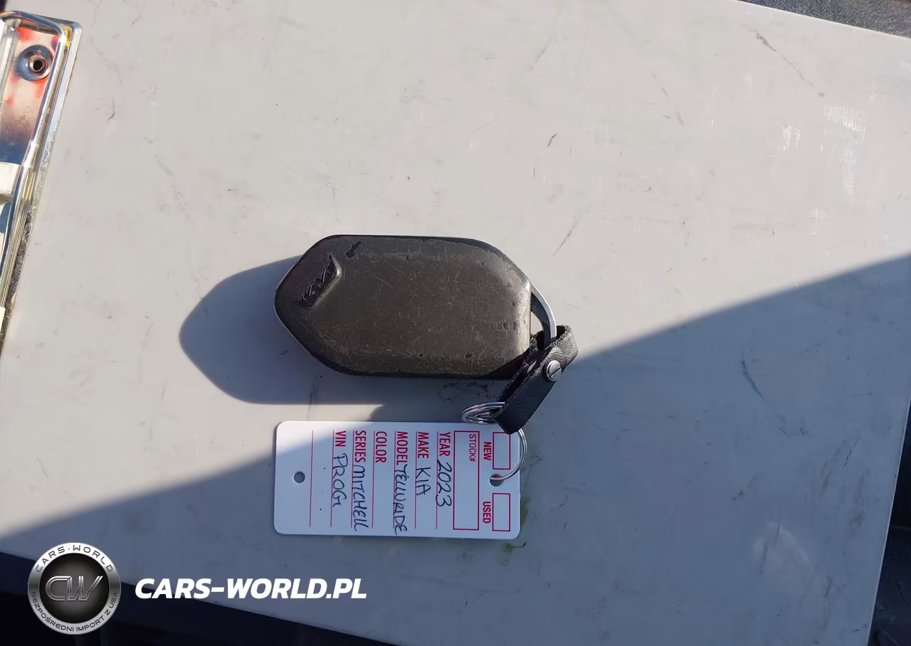 2023 Kia Telluride Ex VIN:5XYP3DGC6PG354221 - 11