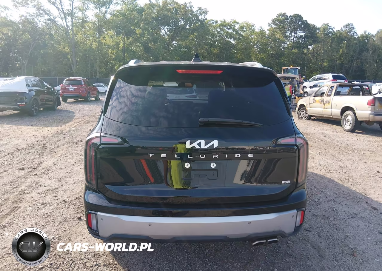 2023 Kia Telluride Ex VIN:5XYP3DGC6PG354221 - 17