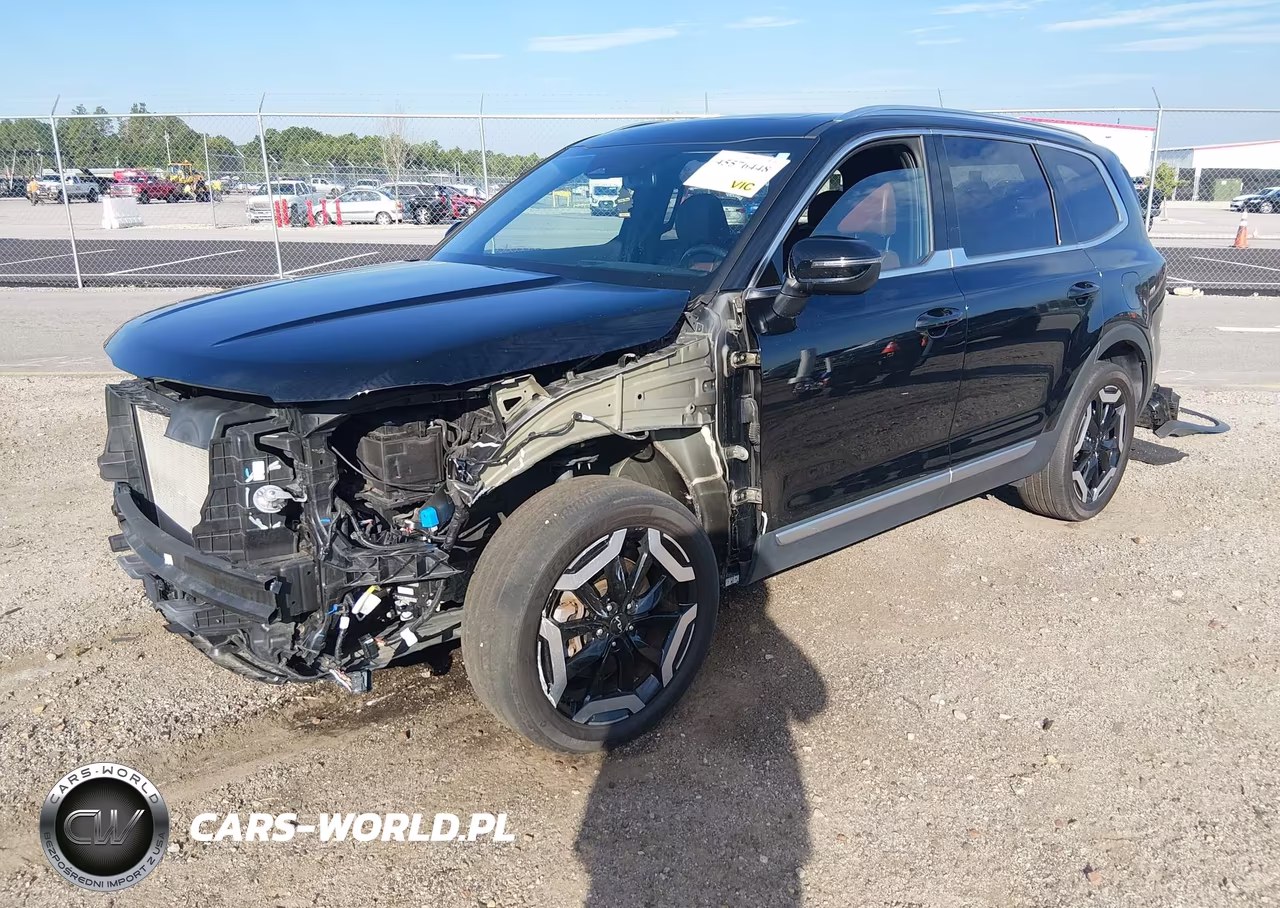 2023 Kia Telluride Ex VIN:5XYP3DGC6PG354221 - 2
