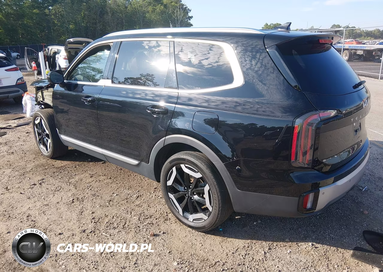 2023 Kia Telluride Ex VIN:5XYP3DGC6PG354221 - 3