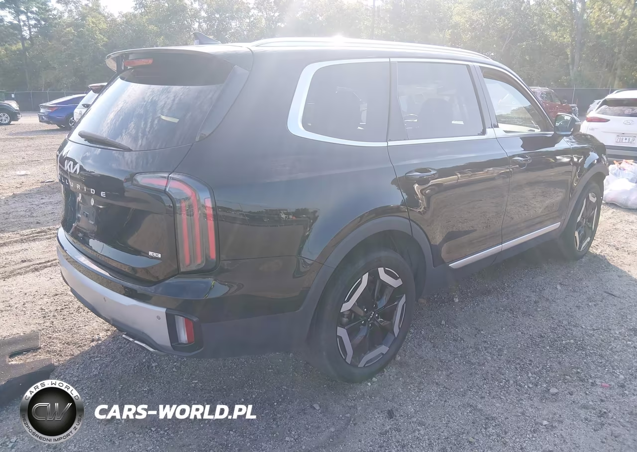 2023 Kia Telluride Ex VIN:5XYP3DGC6PG354221 - 4