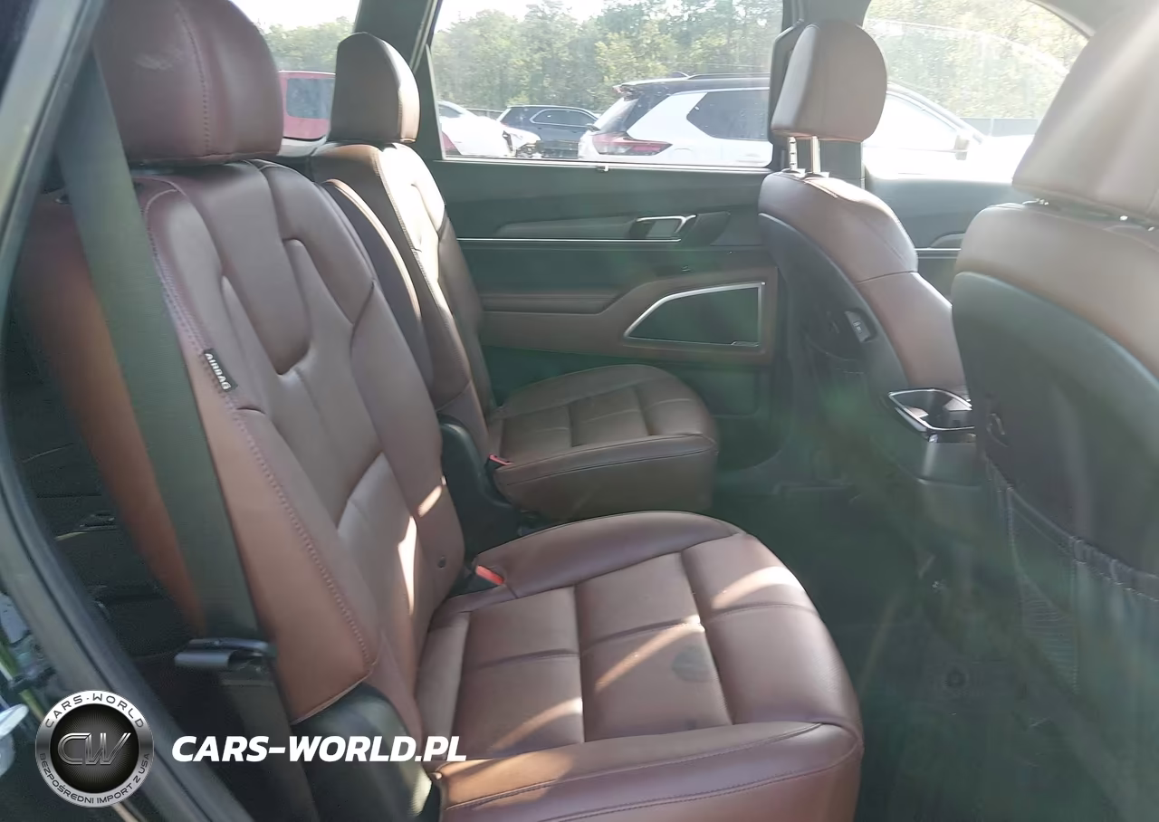 2023 Kia Telluride Ex VIN:5XYP3DGC6PG354221 - 8