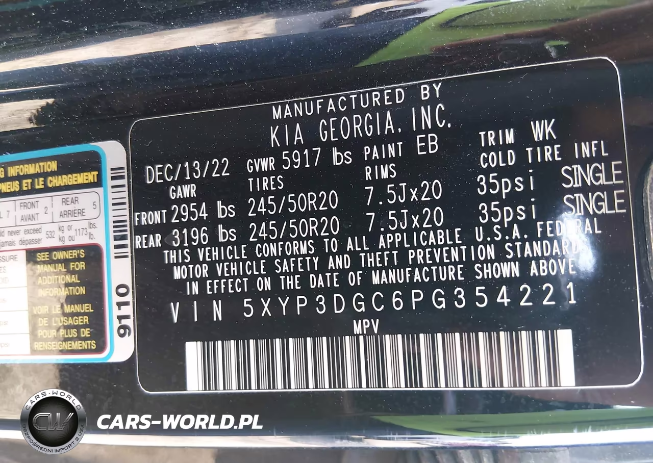 2023 Kia Telluride Ex VIN:5XYP3DGC6PG354221 - 9