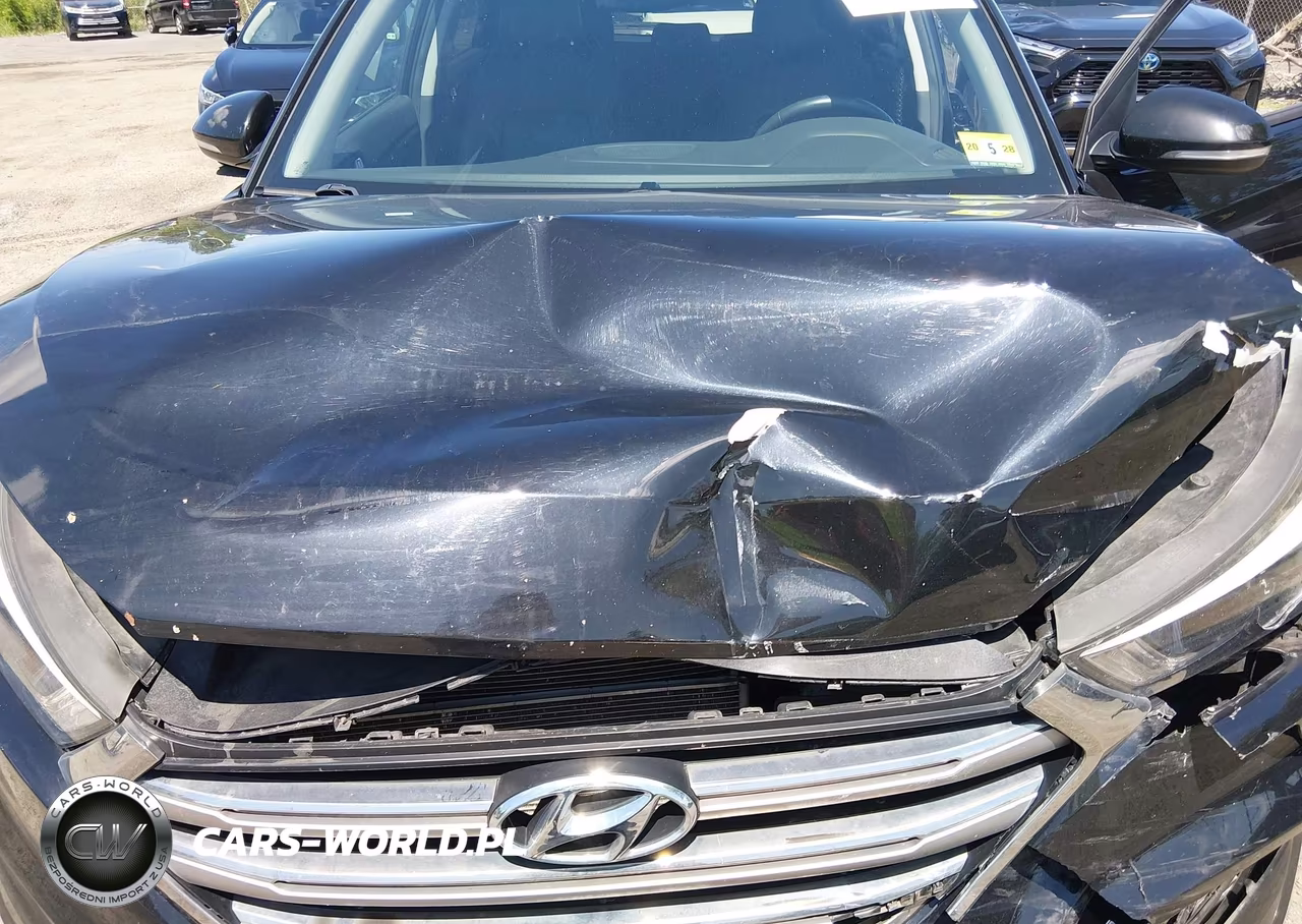 2017 Hyundai Tucson Limited VIN:KM8J3CA26HU388641 - 10