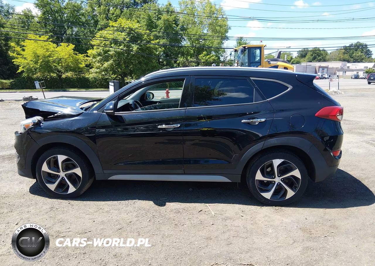 2017 Hyundai Tucson Limited VIN:KM8J3CA26HU388641 - 14
