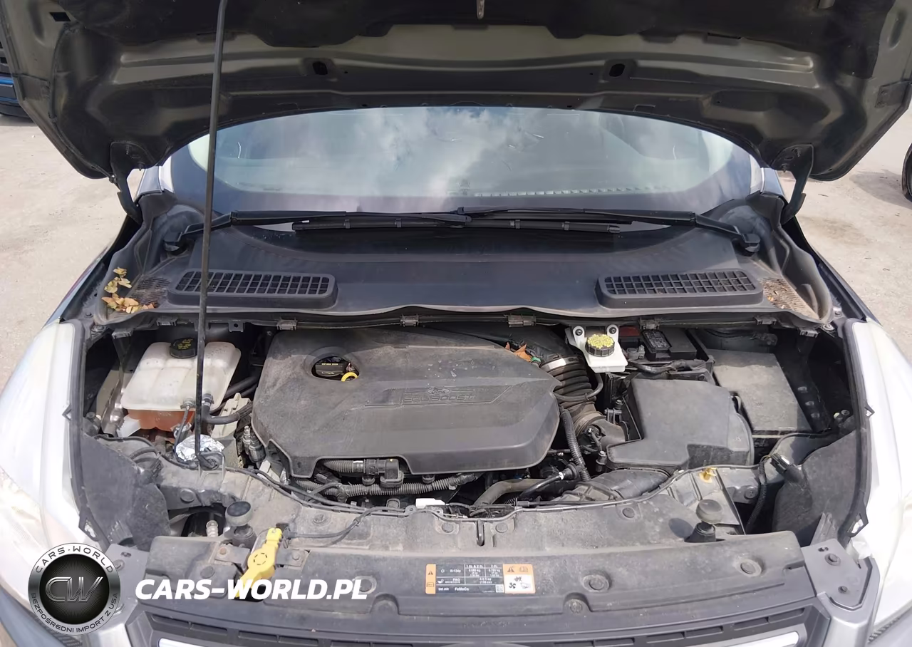 2014 Ford Escape Se VIN:1FMCU0GXXEUD99466 - 10