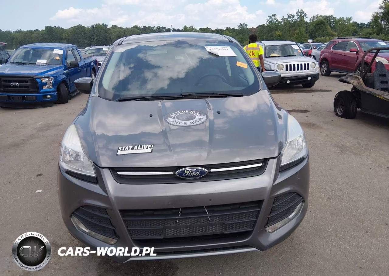 2014 Ford Escape Se VIN:1FMCU0GXXEUD99466 - 12