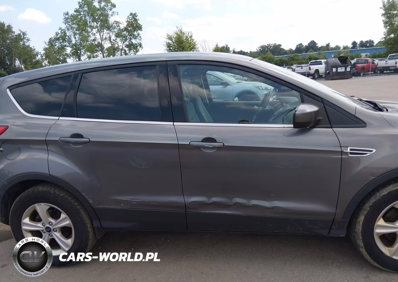2014 Ford Escape Se VIN:1FMCU0GXXEUD99466 - 13