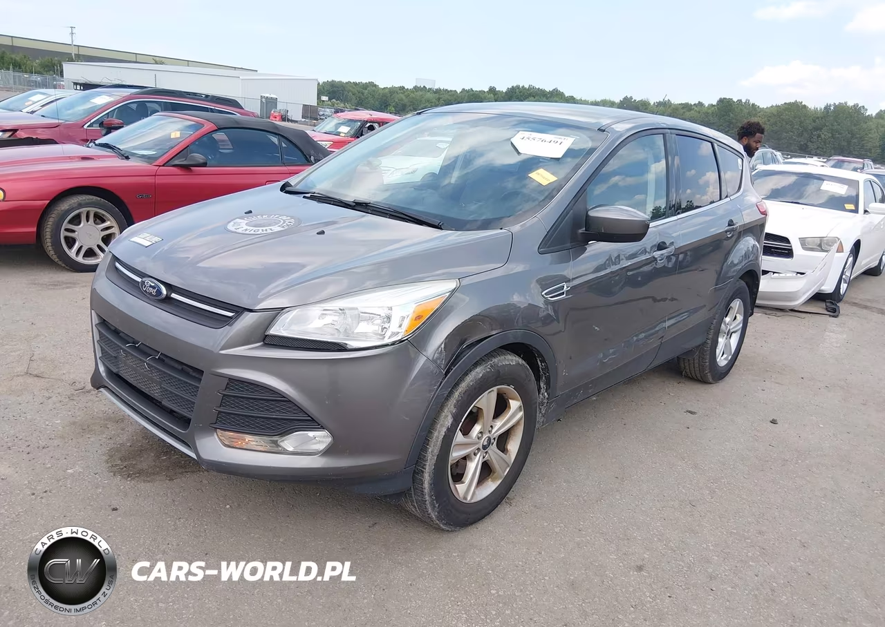 2014 Ford Escape Se VIN:1FMCU0GXXEUD99466 - 2