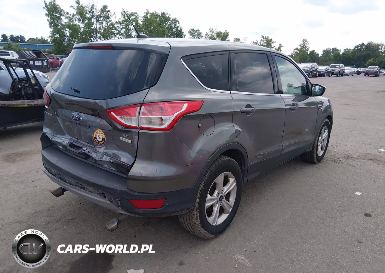 2014 Ford Escape Se VIN:1FMCU0GXXEUD99466 - 4