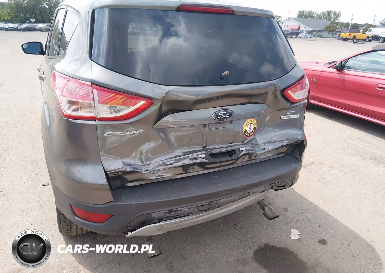 2014 Ford Escape Se VIN:1FMCU0GXXEUD99466 - 6