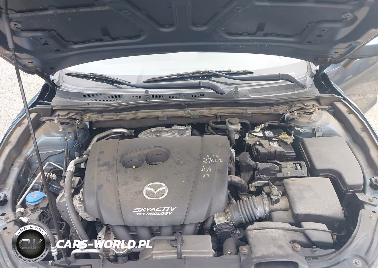 2014 Mazda Mazda3 I Sport VIN:JM1BM1K76E1133926 - 10