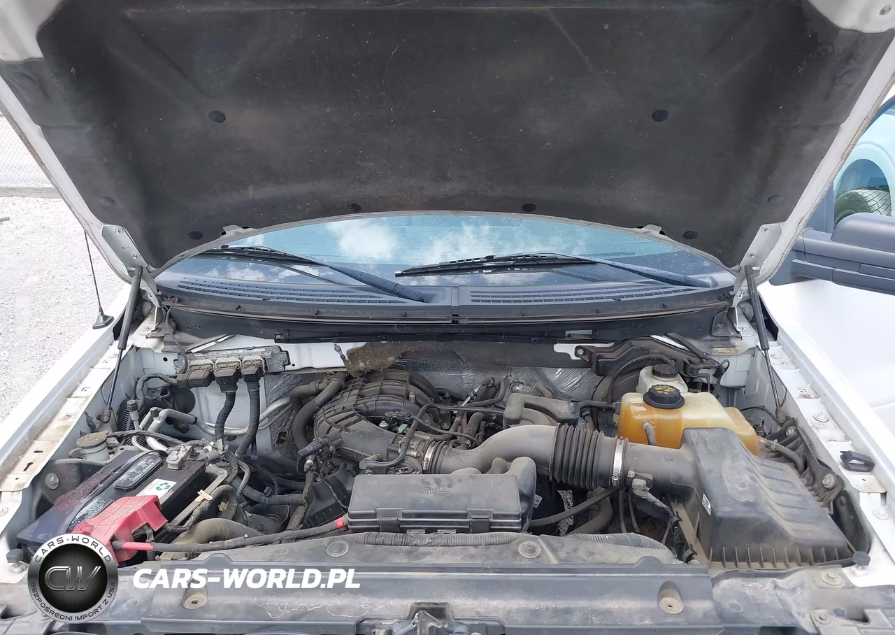 2013 Ford F-150 Xl VIN:1FTEX1EM9DFD68487 - 10