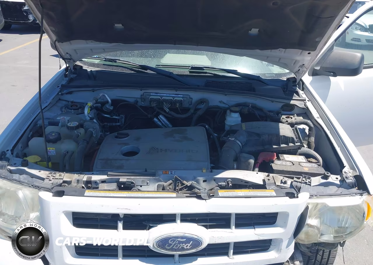 2010 Ford Escape Hybrid Limited VIN:1FMCU4K30AKD33946 - 10
