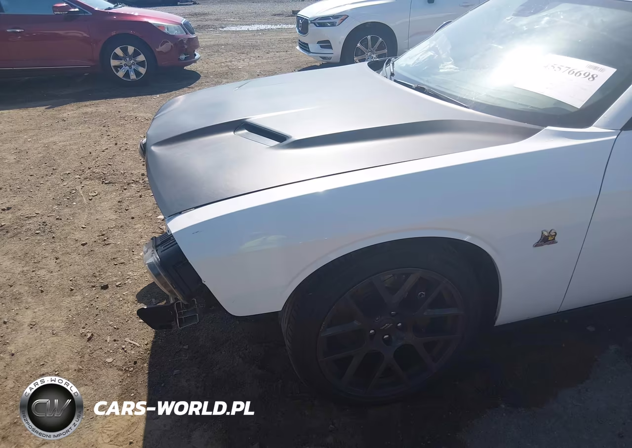 2017 Dodge Challenger R-T Scat Pack VIN:2C3CDZFJ3HH578689 - 19