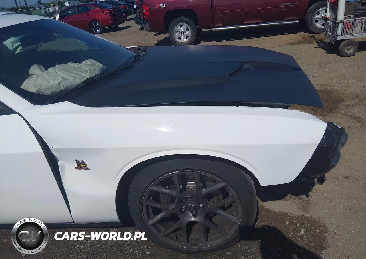 2017 Dodge Challenger R-T Scat Pack VIN:2C3CDZFJ3HH578689 - 20