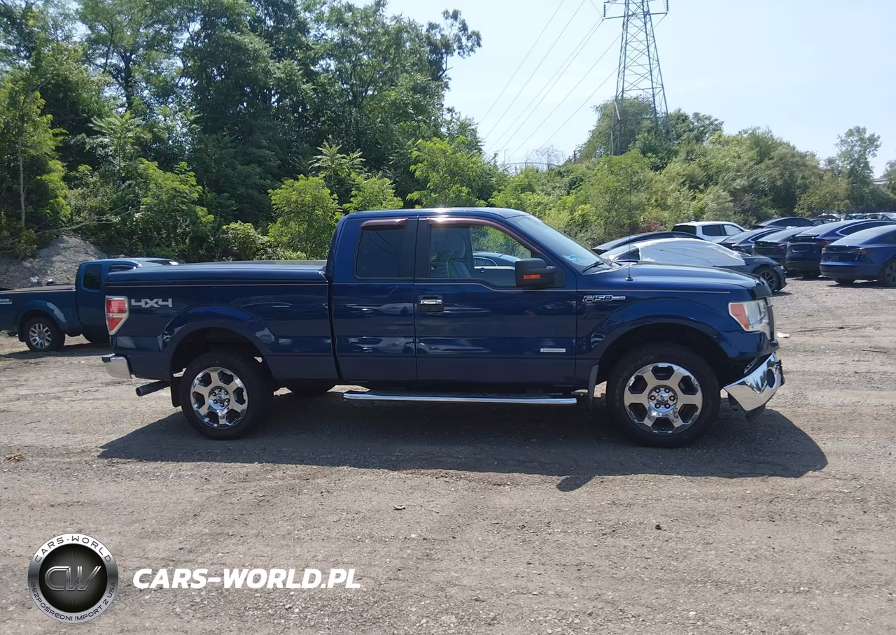 2011 Ford F-150 Xlt VIN:1FTFX1ET6BFB79997 - 13