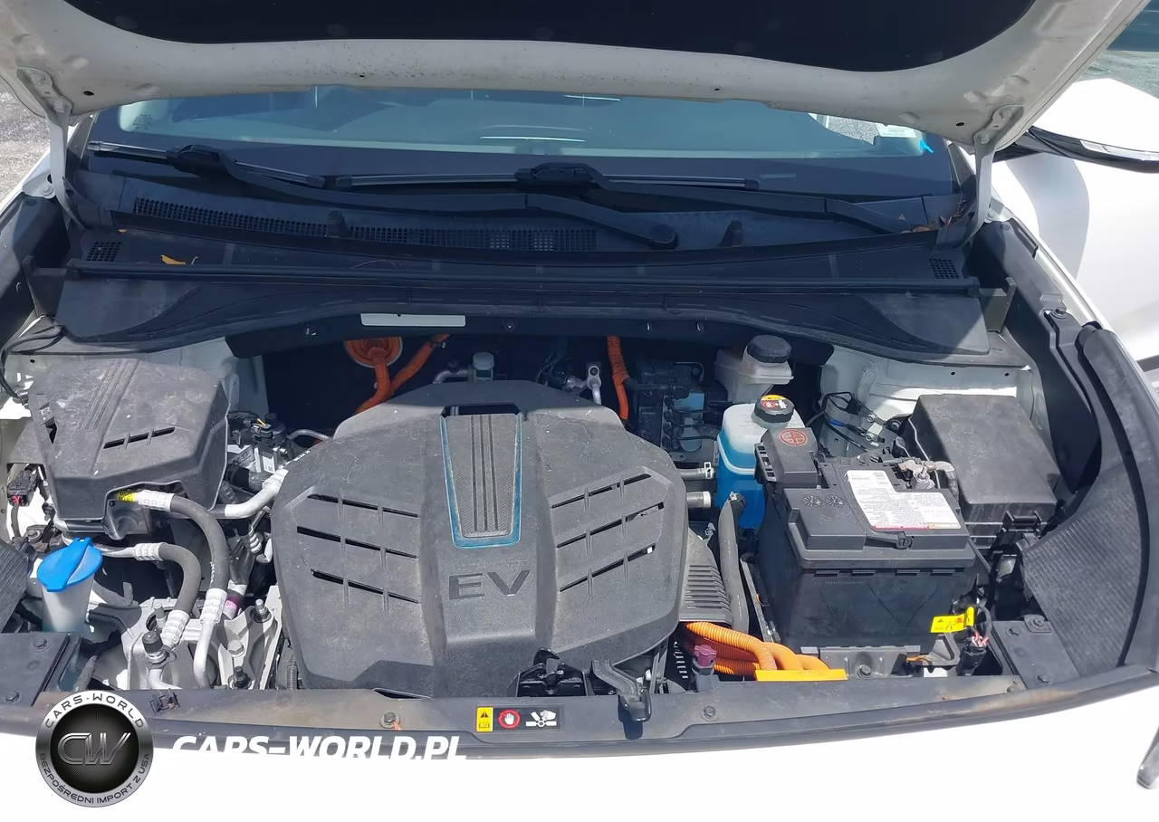 2022 Kia Niro Ev S VIN:KNDCC3LG3N5161029 - 10