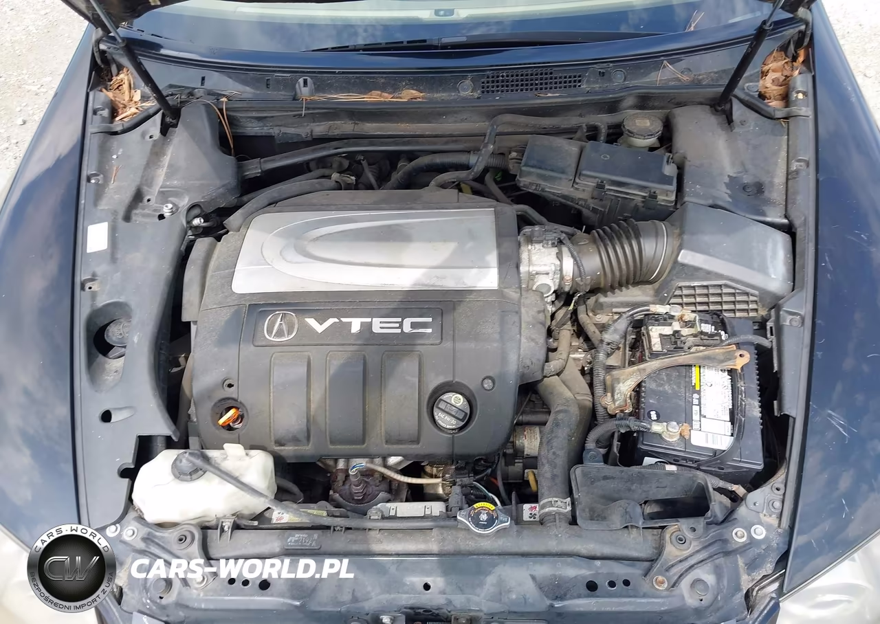 2005 Acura Rl 3.5 VIN:JH4KB16575C017670 - 10