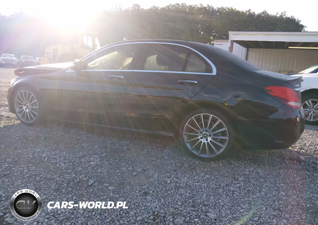 2017 Mercedes-Benz C 300 Sport VIN:55SWF4JBXHU229572 - 3