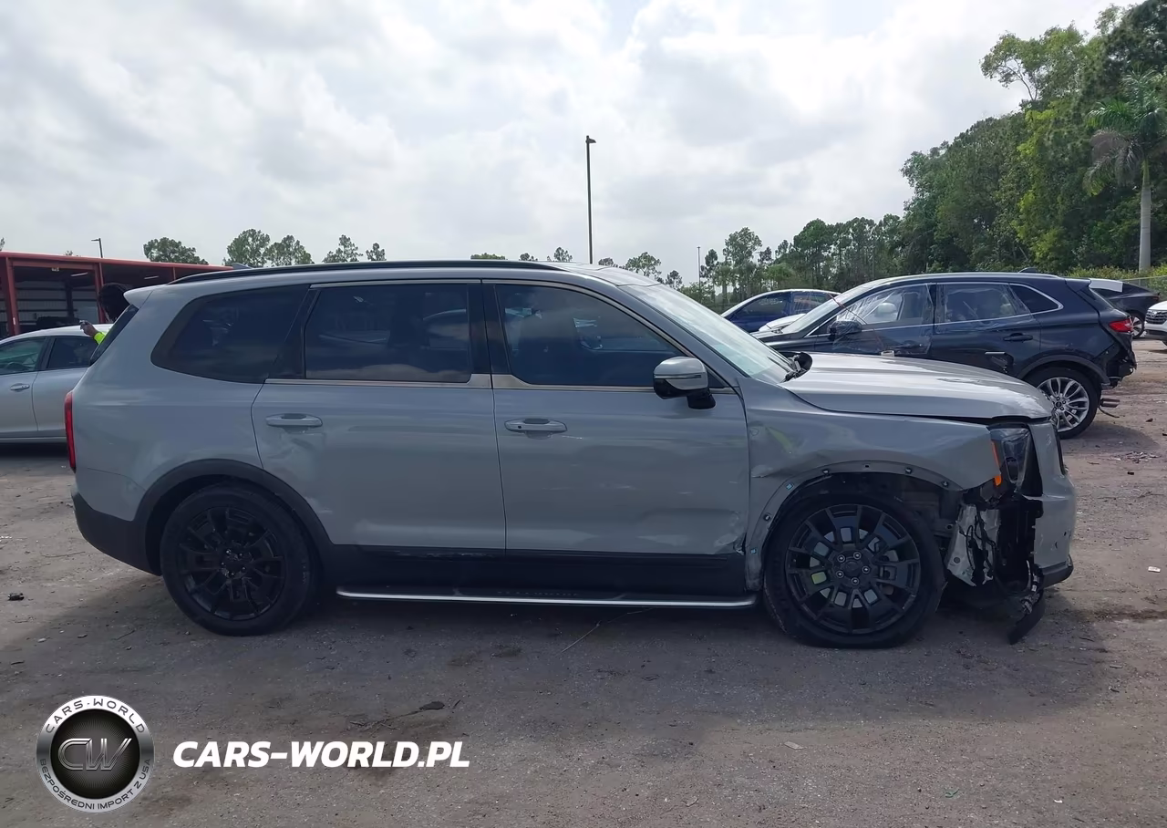2021 Kia Telluride Sx VIN:5XYP5DHC9MG122281 - 14
