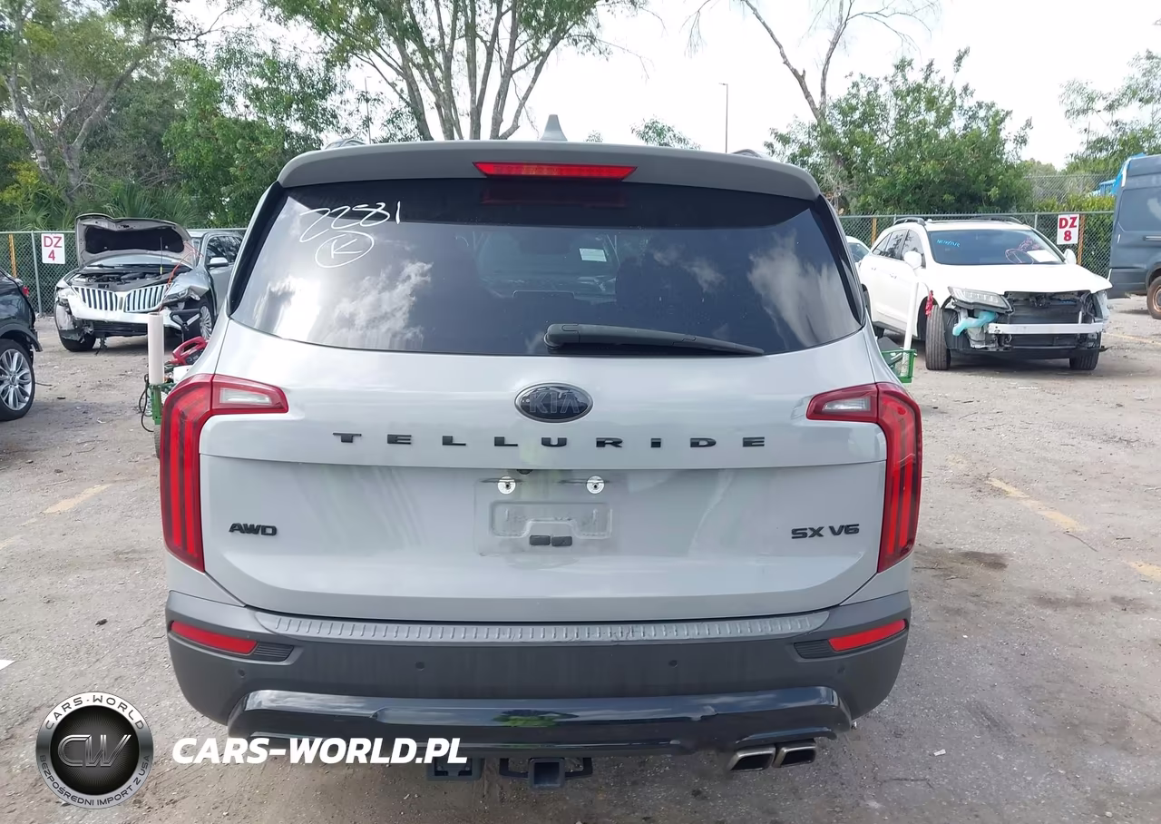 2021 Kia Telluride Sx VIN:5XYP5DHC9MG122281 - 17