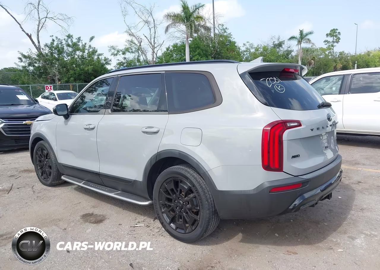 2021 Kia Telluride Sx VIN:5XYP5DHC9MG122281 - 3