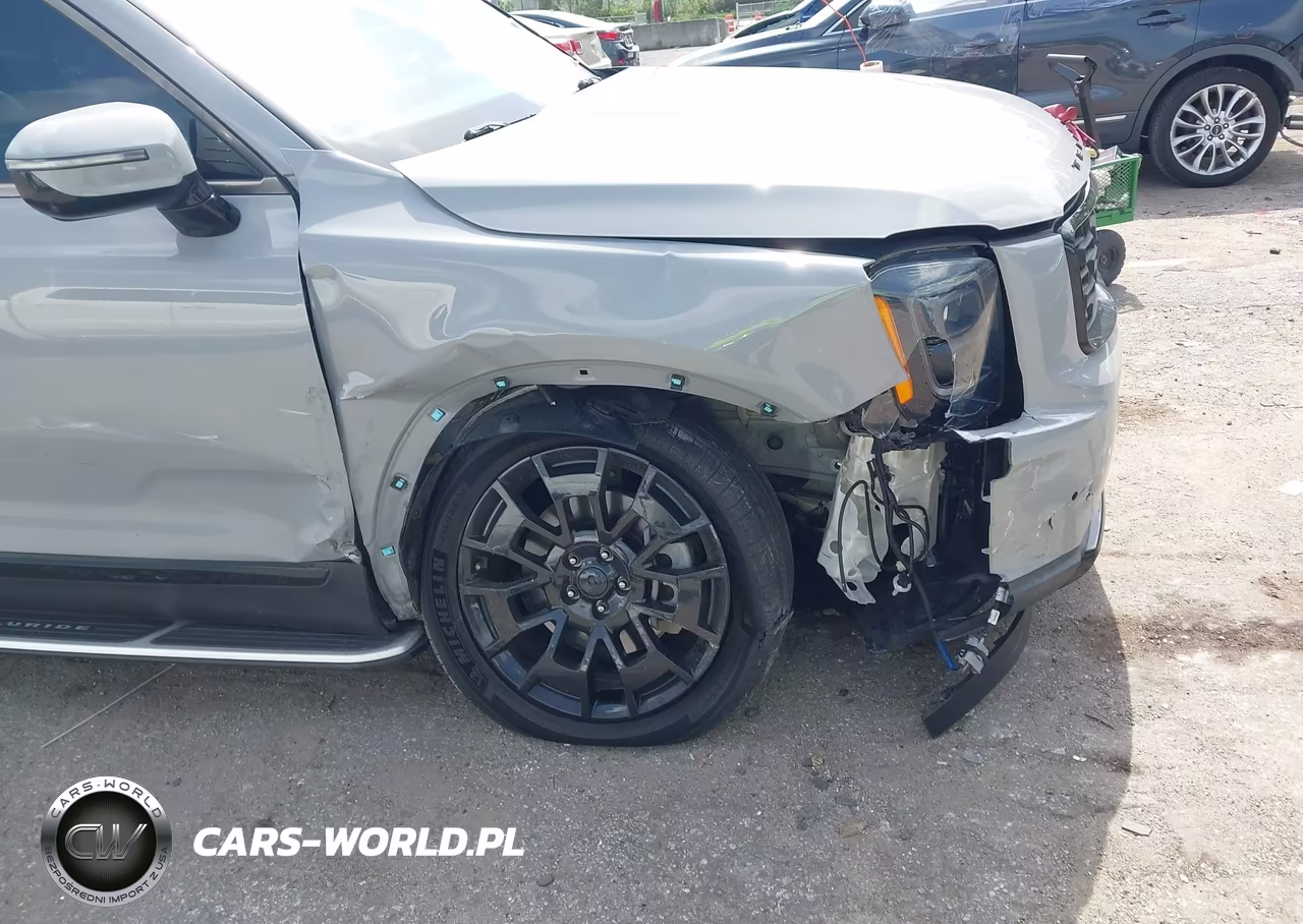 2021 Kia Telluride Sx VIN:5XYP5DHC9MG122281 - 6