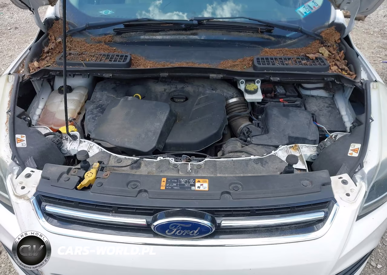 2015 Ford Escape Titanium VIN:1FMCU9J99FUC75804 - 10