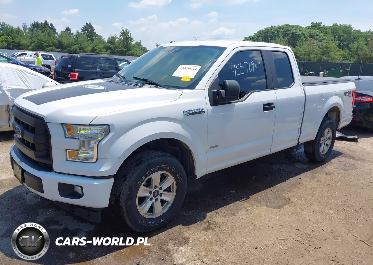 2017 Ford F-150 Xl VIN:1FTEX1EP0HFC00415 - 2
