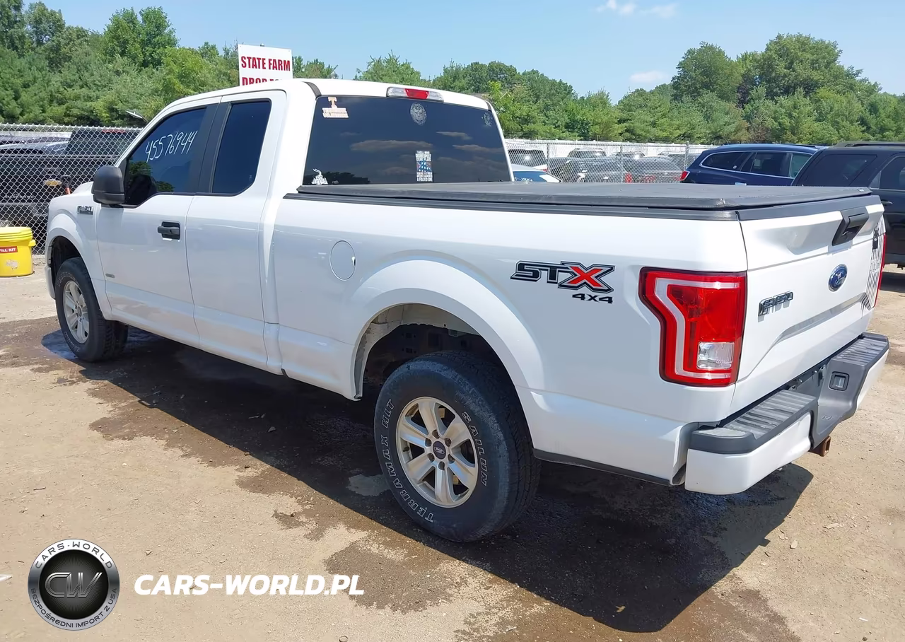2017 Ford F-150 Xl VIN:1FTEX1EP0HFC00415 - 3