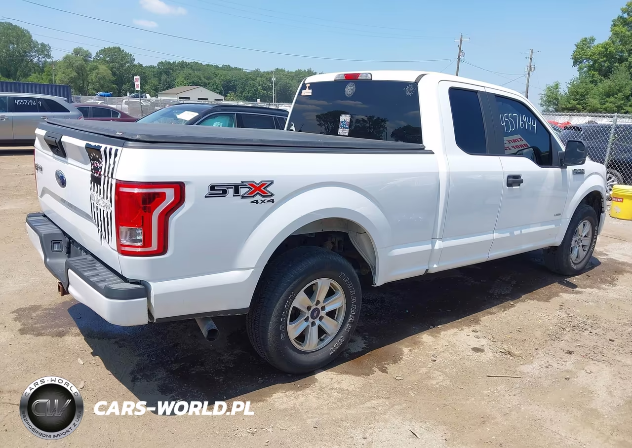 2017 Ford F-150 Xl VIN:1FTEX1EP0HFC00415 - 4