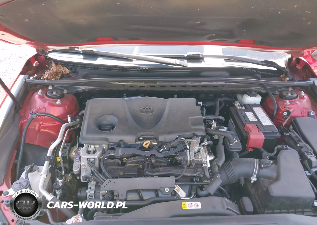 2019 Toyota Camry Se VIN:4T1B11HK4KU244243 - 10