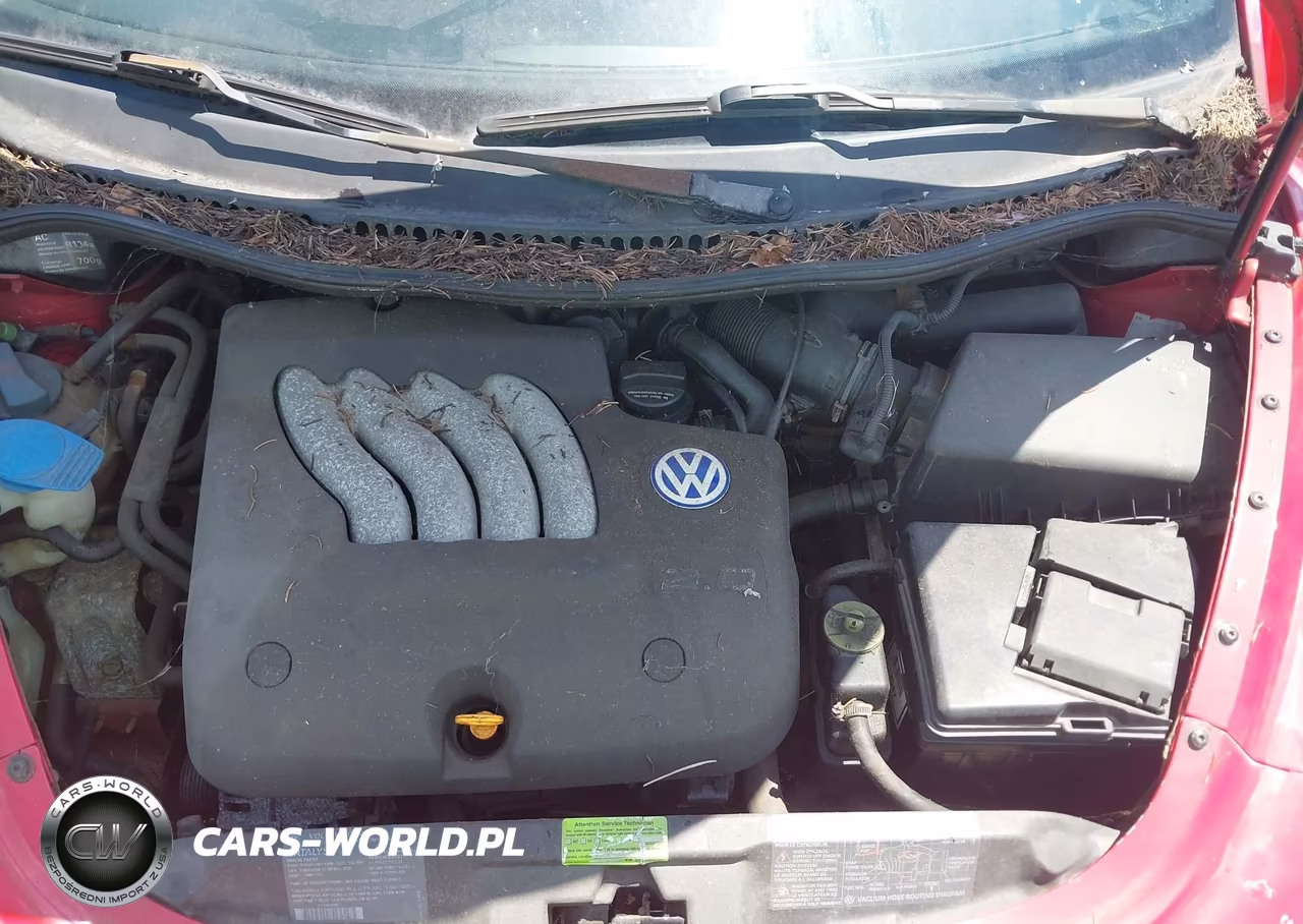 1999 Volkswagen New Beetle Gls VIN:3VWCC21C5XM418955 - 10