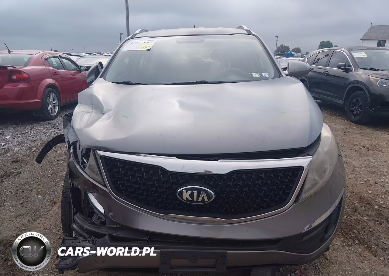 2016 Kia Sportage Ex VIN:KNDPC3AC9G7850260 - 12