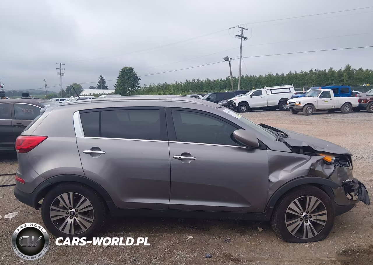 2016 Kia Sportage Ex VIN:KNDPC3AC9G7850260 - 13