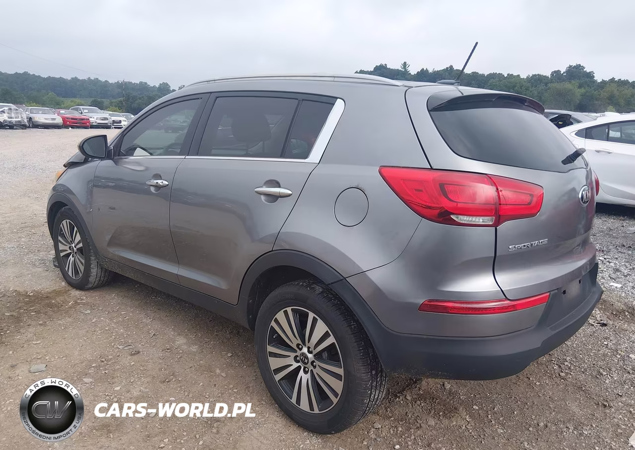 2016 Kia Sportage Ex VIN:KNDPC3AC9G7850260 - 3