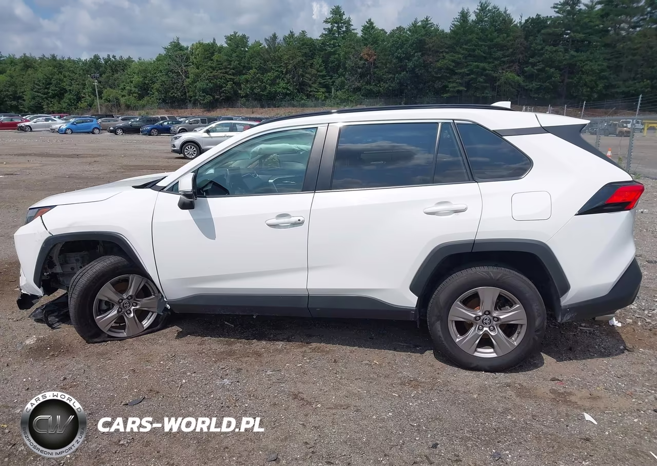 2023 Toyota Rav4 Xle VIN:2T3W1RFVXPW273516 - 15