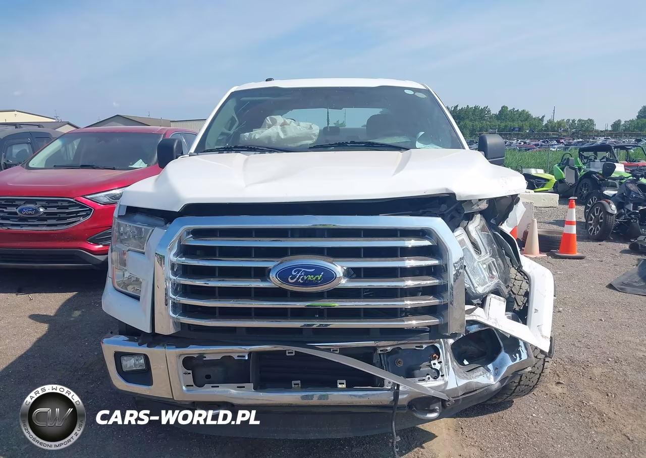 2016 Ford F-150 Xlt VIN:1FTFW1EGXGFA38735 - 12