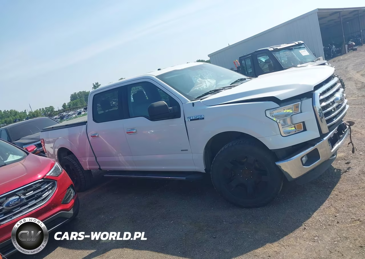 2016 Ford F-150 Xlt VIN:1FTFW1EGXGFA38735 - 13