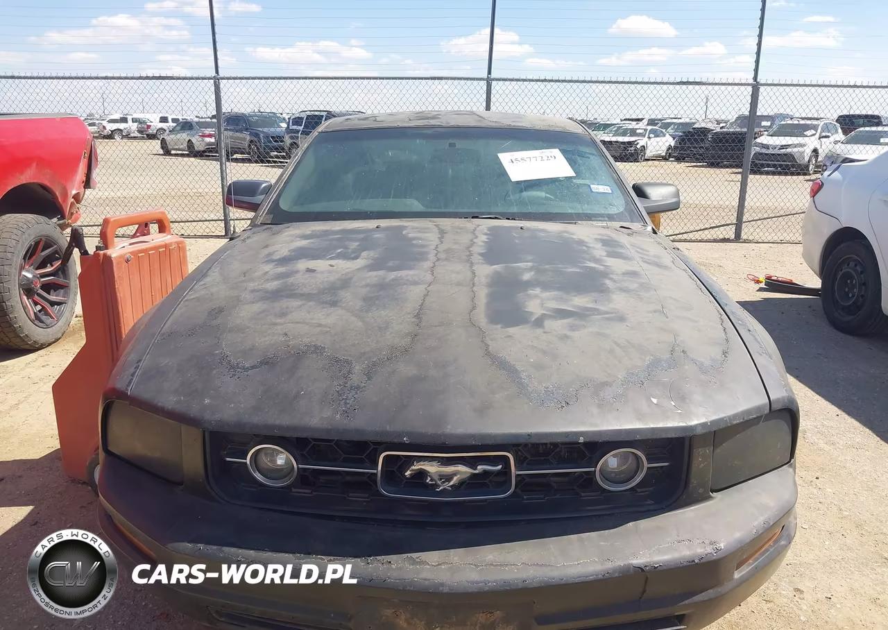 2007 Ford Mustang V6 Deluxe-V6 Premium VIN:1ZVFT80N975288610 - 6