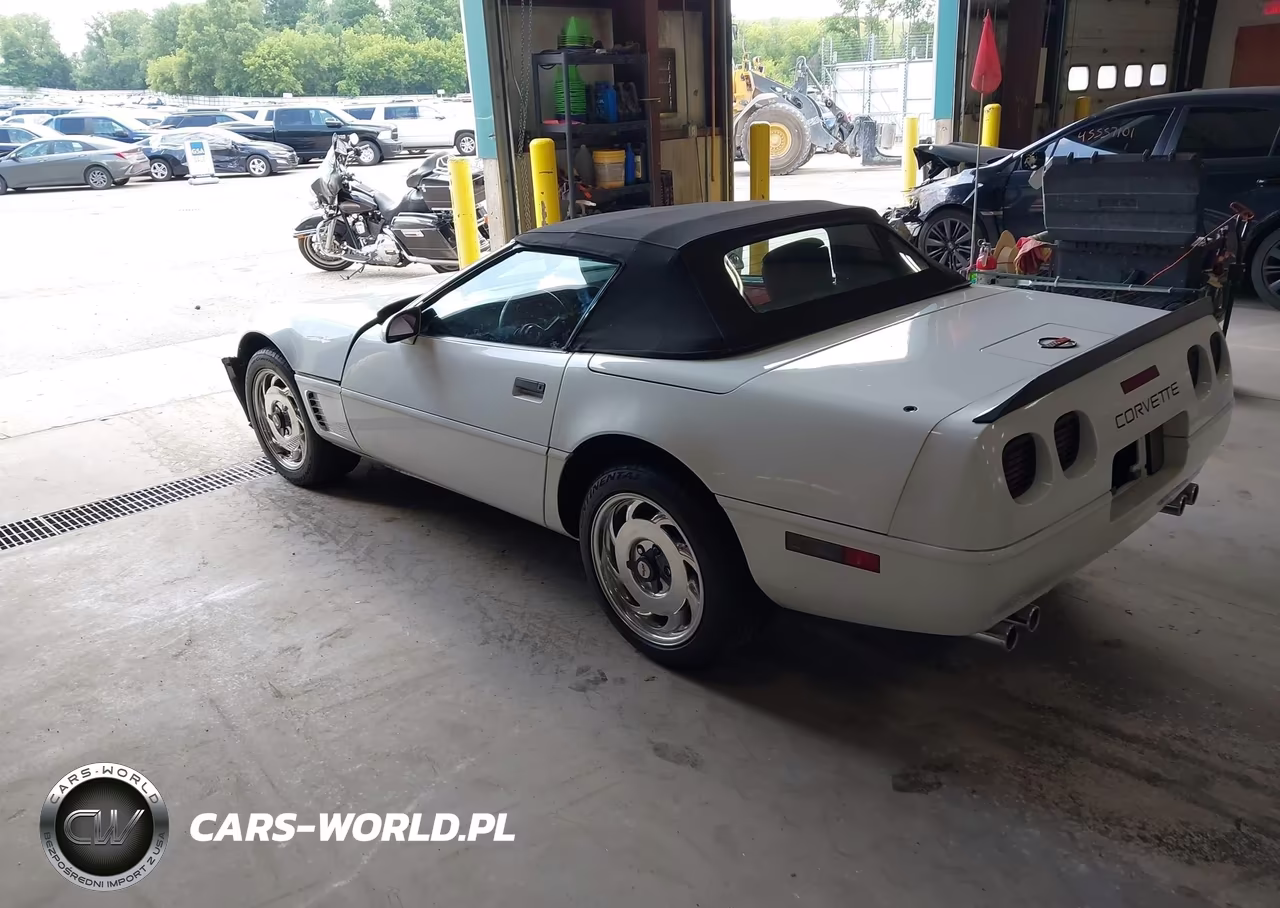 1989 Chevrolet Corvette VIN:1G1YY3187K5124301 - 3