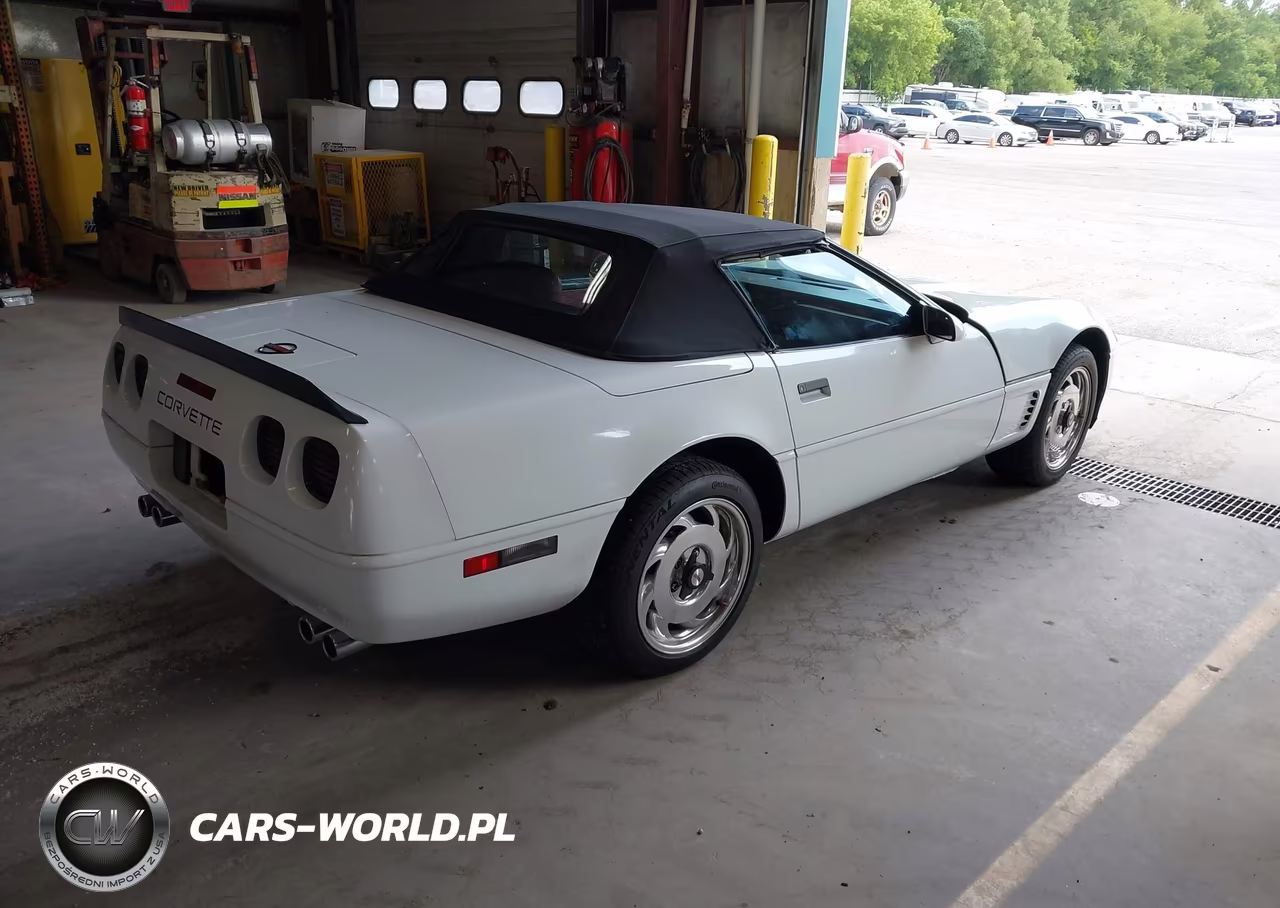 1989 Chevrolet Corvette VIN:1G1YY3187K5124301 - 4