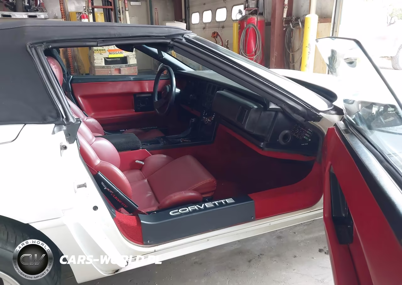 1989 Chevrolet Corvette VIN:1G1YY3187K5124301 - 5