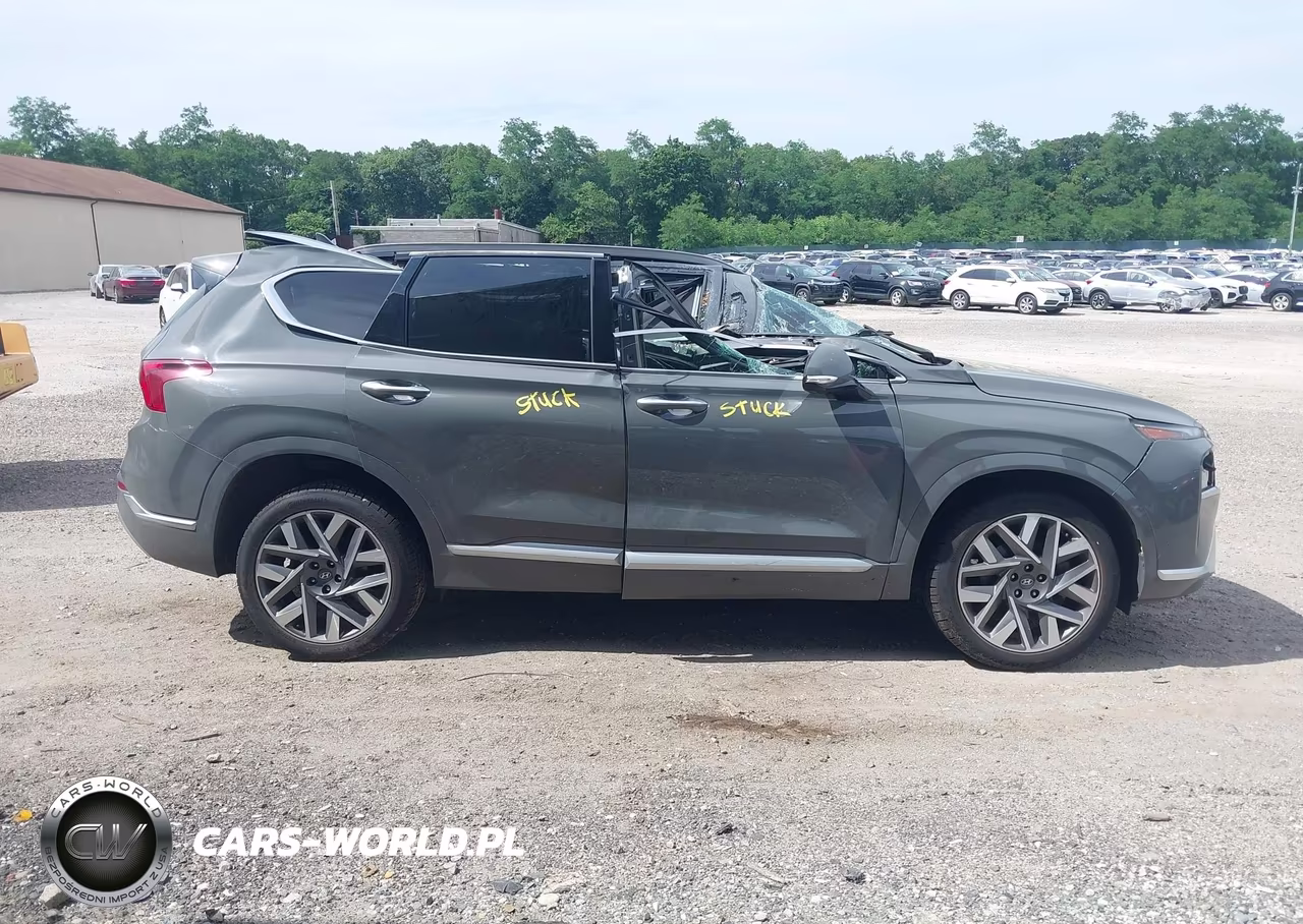 2022 Hyundai Santa Fe Calligraphy VIN:5NMS5DAL7NH386630 - 13