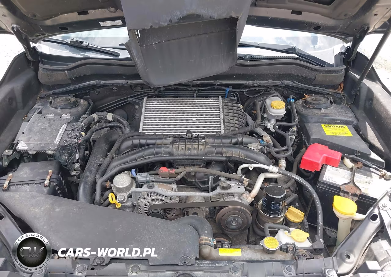 2014 Subaru Forester 2.0Xt Premium VIN:JF2SJGDC9EH493609 - 10