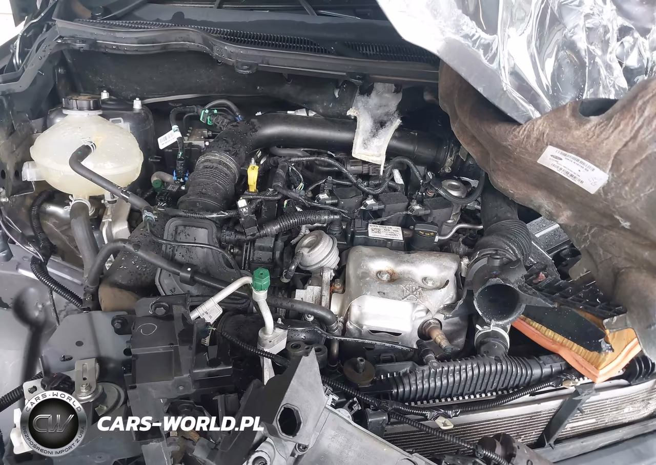 2020 Ford Ecosport Se VIN:MAJ3S2GEXLC365492 - 10