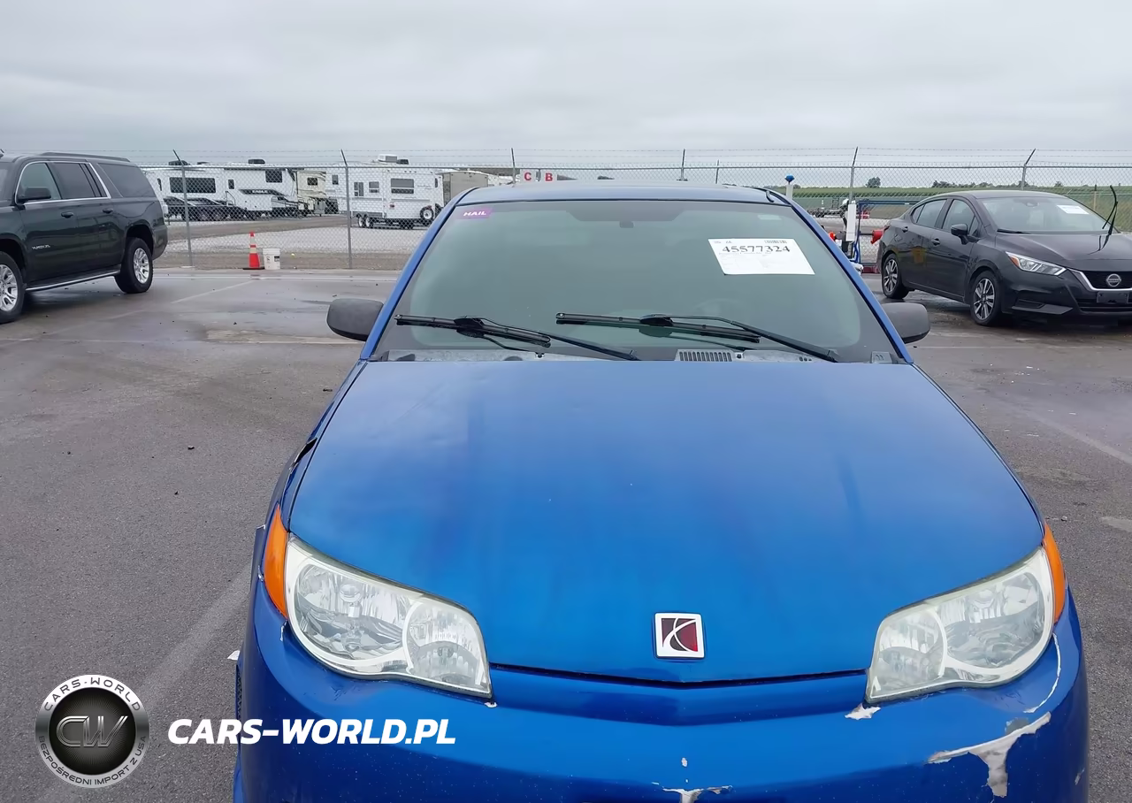 2004 Saturn Ion Red Line VIN:1G8AY12P24Z217686 - 6