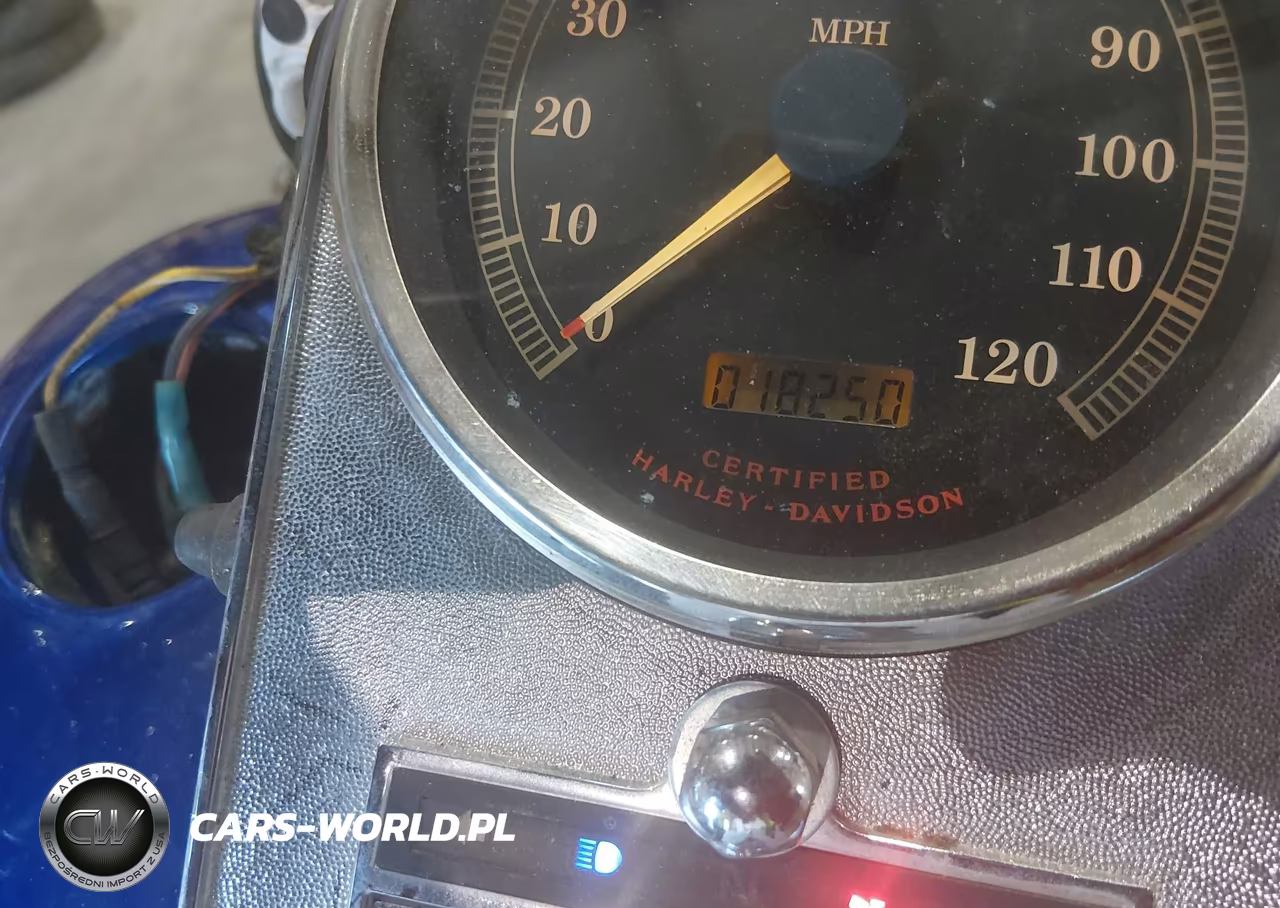 2002 Harley-Davidson Fxdwg VIN:1HD1GEV182Y315193 - 7